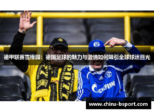 德甲联赛雪缘园：德国足球的魅力与激情如何吸引全球球迷目光