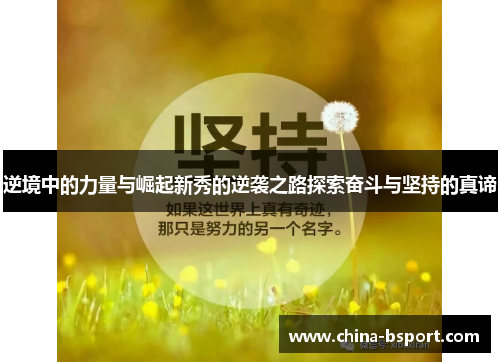 逆境中的力量与崛起新秀的逆袭之路探索奋斗与坚持的真谛