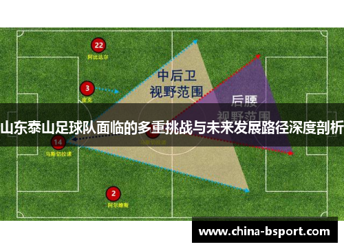 山东泰山足球队面临的多重挑战与未来发展路径深度剖析