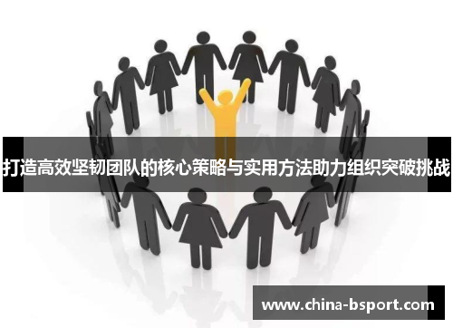 打造高效坚韧团队的核心策略与实用方法助力组织突破挑战
