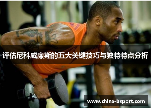 评估尼科威廉斯的五大关键技巧与独特特点分析