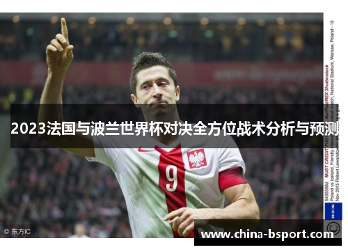 2023法国与波兰世界杯对决全方位战术分析与预测