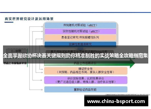 全面掌握欧协杯决赛关键规则助你精准制胜的实战策略全攻略指南集