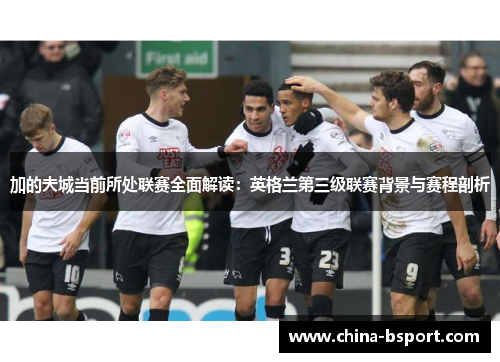 加的夫城当前所处联赛全面解读:英格兰第三级联赛背景与赛程剖析 加的夫城当前所处联赛全面解读:英格兰第三级联赛背景与赛程剖析