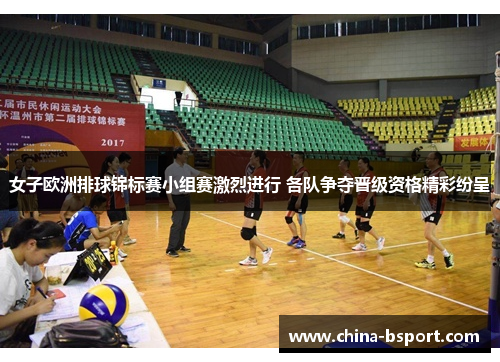 女子欧洲排球锦标赛小组赛激烈进行 各队争夺晋级资格精彩纷呈