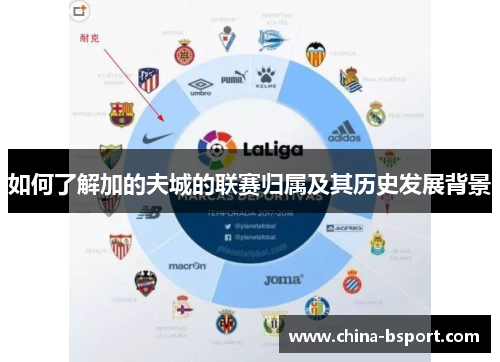 如何了解加的夫城的联赛归属及其历史发展背景