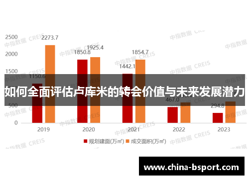 如何全面评估卢库米的转会价值与未来发展潜力