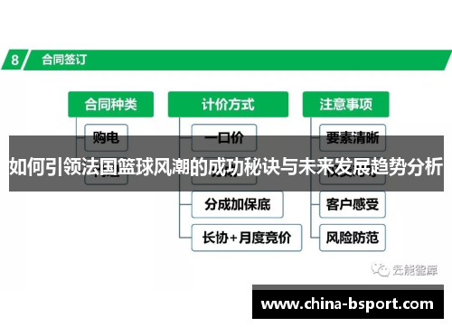 如何引领法国篮球风潮的成功秘诀与未来发展趋势分析