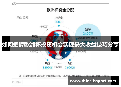 如何把握欧洲杯投资机会实现最大收益技巧分享 如何把握欧洲杯投资机会实现最大收益技巧分享