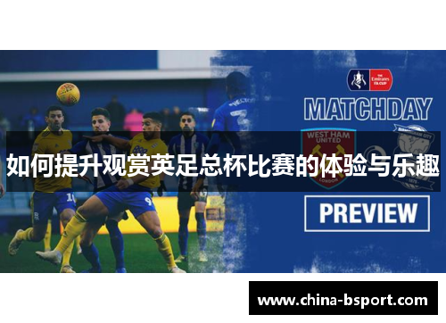 如何提升观赏英足总杯比赛的体验与乐趣