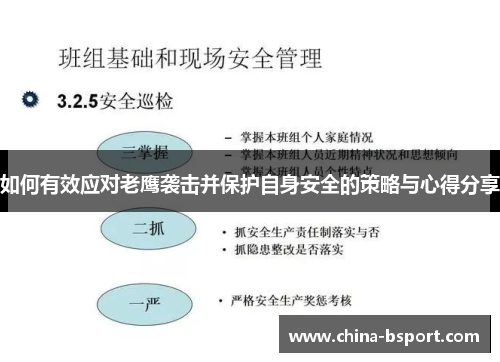 如何有效应对老鹰袭击并保护自身安全的策略与心得分享