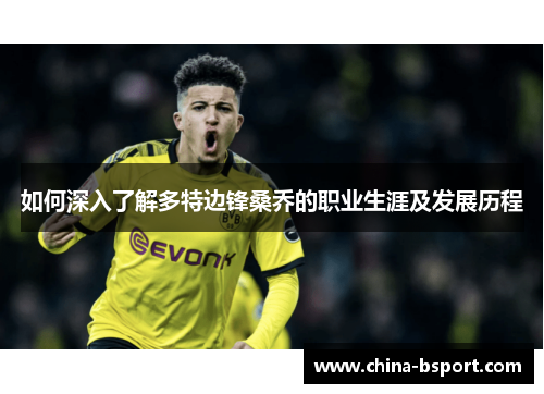 如何深入了解多特边锋桑乔的职业生涯及发展历程