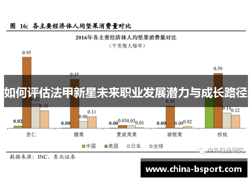 如何评估法甲新星未来职业发展潜力与成长路径