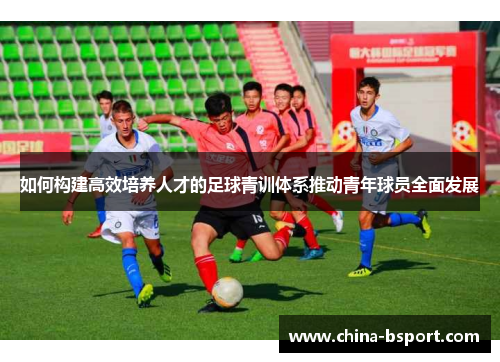 如何构建高效培养人才的足球青训体系推动青年球员全面发展