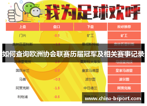 如何查询欧洲协会联赛历届冠军及相关赛事记录 如何查询欧洲协会联赛历届冠军及相关赛事记录