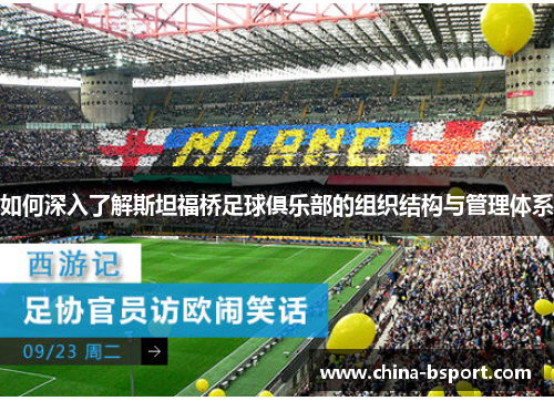如何深入了解斯坦福桥足球俱乐部的组织结构与管理体系