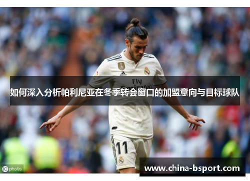 如何深入分析帕利尼亚在冬季转会窗口的加盟意向与目标球队