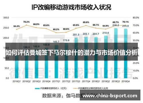 如何评估曼城签下马尔穆什的潜力与市场价值分析