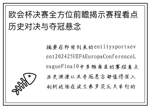 欧会杯决赛全方位前瞻揭示赛程看点历史对决与夺冠悬念
